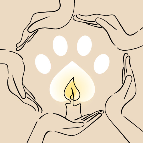 association deuil animal