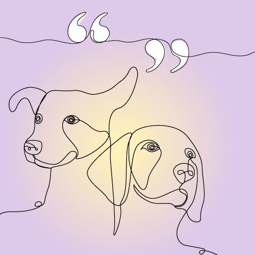 chien décédé hommage et citation