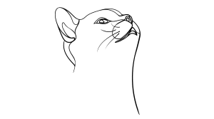 citation chat bonheur