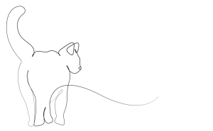 citation chat maison