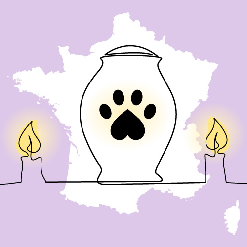 crematorium animaux cremation