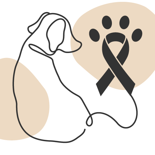 décès chien mort que faire