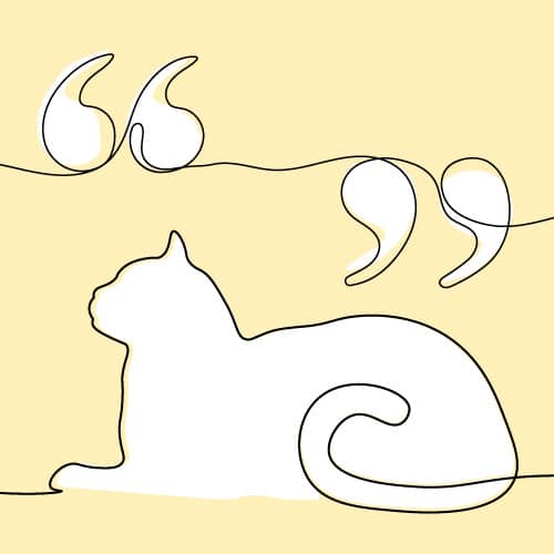 Deuil : Citation sur les chats et la mort