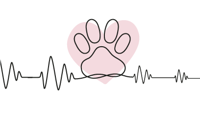 Fin de vie de son animal