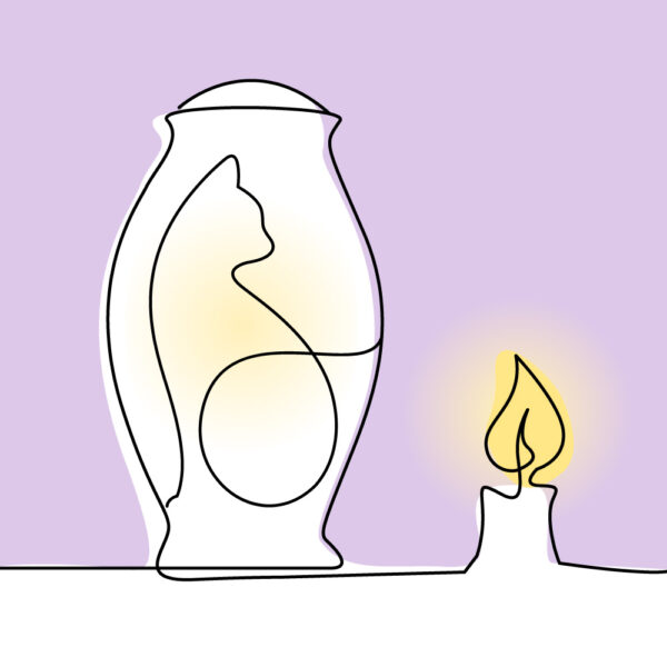 incinérer chat crémation